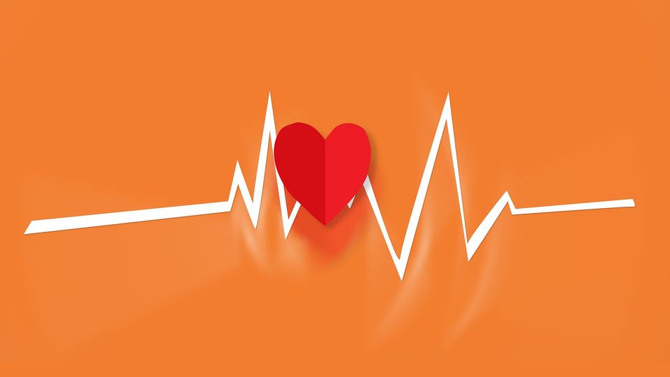 Health Tips Updates